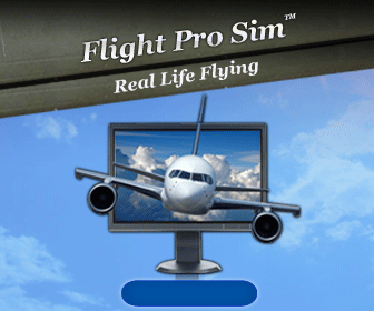 Flight Simulator Game