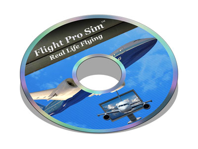 Flight Simulator Game