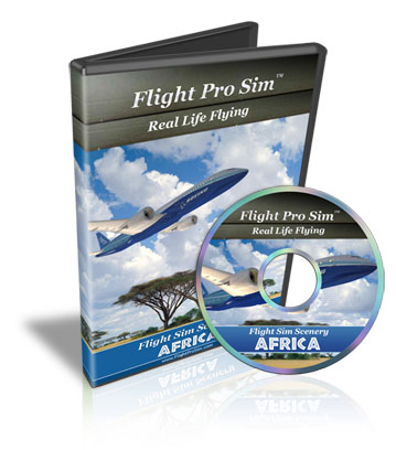 Flight Simulator Game